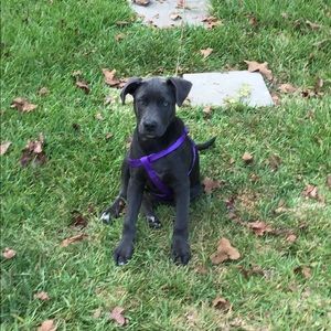 Meet your Posher, Crystal